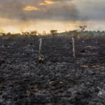 602 cientistas pedem que Europa condicione importações do Brasil a cumprimento de compromissos ambie...