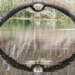 A incrível foto de águia que viralizou e surpreendeu fotógrafo amador: 'Senti a brisa das asas'