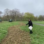 Londres vai criar 11 km de corredor de flores para abelhas