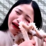Blogueira chinesa tenta comer polvo vivo e o animal revida
