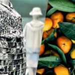 Empresa italiana está fazendo seda vegana sustentável de frutas cítricas