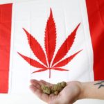Canadá arrecada US$ 139 milhões com venda de maconha