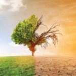 Dívida perigosa: Humanidade esgota recursos naturais renováveis do planeta para  2019 em tempo recor...