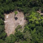 Alemanha suspende auxílio de R$ 155 milhões para planos de conservação da Amazônia