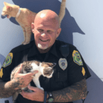 Polícia de Indiana permite que as pessoas paguem multas doando ao abrigo de animais