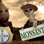 Monsanto perseguiu jornalistas e ativistas e pagou Google para ‘esconder’ notícias negativas