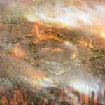 Multinacionais reagem contra queimadas na Amazônia