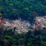 Intercept revela plano 'paranóico' de Bolsonaro para exploração impiedosa da Amazônia