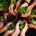VEGANNATION COMPRA 15.000 HECTARES DA FLORESTA AMAZÔNICA  PARA PROTEGÊ-LA