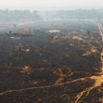 Desmatada e aquecida, Amazônia perde até 50% da capacidade de reciclar água