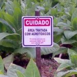 Justiça suspende 63 agrotóxicos liberados pelo Ministério da Agricultura