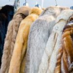 Califórnia é 1º estado dos EUA a proibir venda de produtos com pele animal