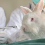 Avon, controlada pela Natura, deixará de testar produtos em animais