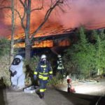 Incêndio causado por lanterna chinesa mata dezenas de animais em zoológico alemão
