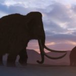 Genes antigos revelam que os últimos mamutes na Terra eram uma bagunça doentia