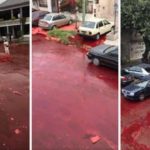 Tanque em matadouro despeja 500 mil litros de sangue nas ruas