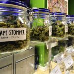 Em meio à pandemia, EUA decidem que venda de maconha é 'serviço essencial'