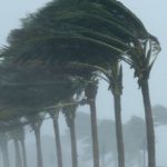 Precisamos combater as mudanças climáticas, como a pandemia de coronavírus, alerta a ONU