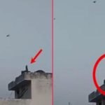 Macaco solta pipa na Índia durante quarentena do coronavírus