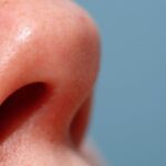 Seu nariz tem seu próprio microbioma e pode ser possível alterá-lo, mostra estudo