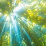 Os cientistas dizem que descobriram como obter energia utilizável das plantas
