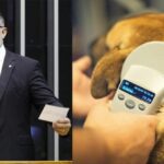Frota propõe instalação de microchip para coibir abandono animal