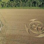 Agroglifo gigantesco em campo de trigo atrai atenção de curiosos na França