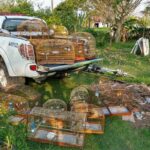 Homem é multado em R$ 17,5 mil por captura de aves silvestres em Itanhaém, SP