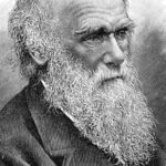 Universidade de Cambridge denuncia roubo de cadernos de Darwin