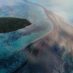 Ecocídio: Matar a natureza deveria ser crime?