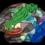 Células cerebrais