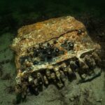 Mergulhadores encontram a máquina de código Enigma nazista no Mar Báltico