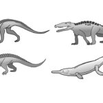 Pesquisa explica por que crocodilos mudaram tão pouco desde a era dos dinossauros