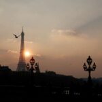 Paris fechará mercado histórico de pássaros