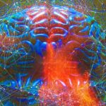 Pesquisa mostra que LSD deixa o cérebro 'se libertar' das divisões ditadas pela anatomia