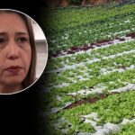 professora da USP é ameaçada de morte por pesquisa sobre agrotóxicos