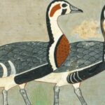 Linda arte egípcia de 4.600 anos revela um ganso extinto