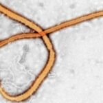 Novo surto de ebola sugere que o vírus pode se esconder por anos dentro das pessoas
