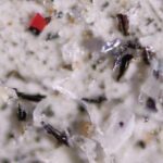 Os microplásticos agora estão girando em torno do globo no ar que respiramos