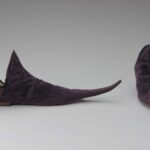 A moda de sapatos pontudos desencadeou uma praga de joanetes na Grã-Bretanha medieval