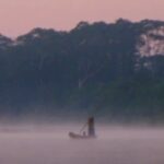 'Incrível experimento natural': nesta tribo amazônica, os cérebros não envelhecem como os nossos