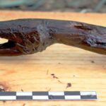 Cajado em forma de serpente de 4.000 anos é descoberto no sul da finlândia