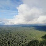 Mudança climática sem controle causará seca severa na floresta amazônica