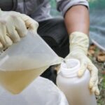Novo método melhora a detecção de parasitas microscópicos na água