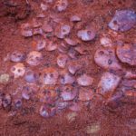 Túmulo de âmbar de 5.500 anos encontrado no noroeste da Rússia