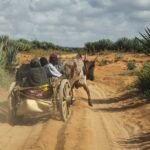 Aldeias desoladas enfrentam fome na seca de Madagascar