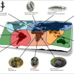 Consequências da perda de vertebrados ameaçados