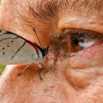 Fotógrafo colombiano documenta a maior variedade de borboletas do mundo