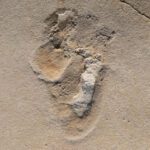 Pegadas Mais Antigas De Pré-Humanos Identificadas Na Ilha Grega De Creta