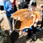 Decifrando os mistérios de fungos enigmáticos